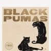 Black Pumas 7" Box Set