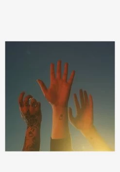 The Record LP (Clear)