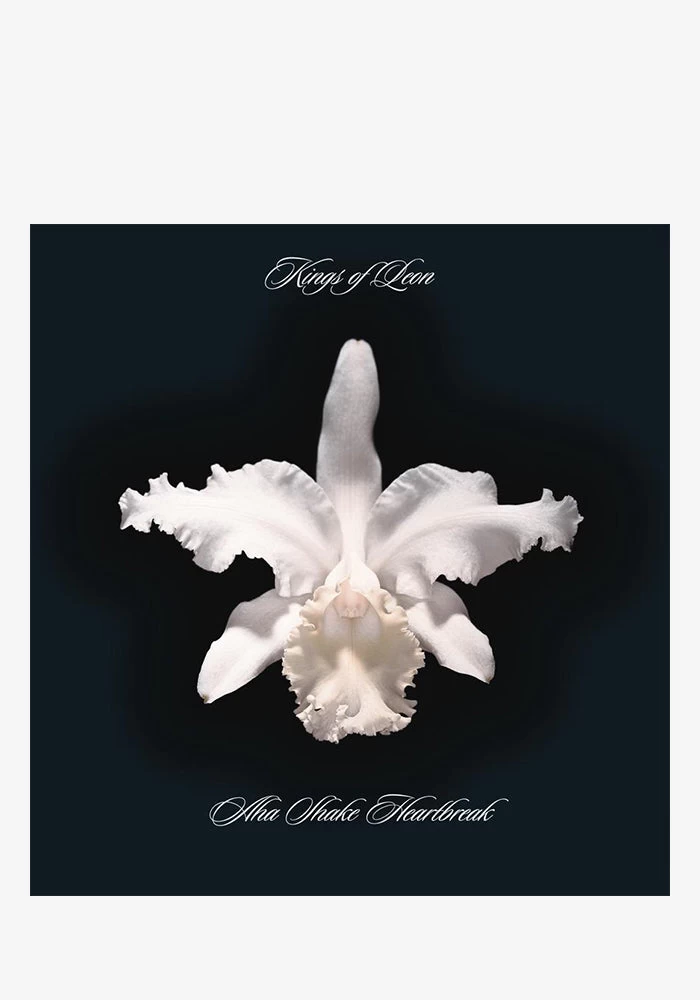 Aha Shake Heartbreak 2LP 1 Aha Shake Heartbreak 2LP