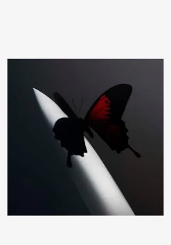 Twelve Carat Toothache 2LP (Lemon Yellow)