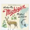 Greetings From Michigan 2 LP